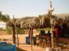 Zeytouna-Beach-3309