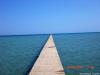 Zeytouna-Beach-CIMG0480