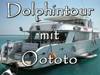Oototo - Dolphintour