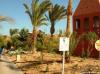 Hotel Sheraton Miramar Resort  El Gouna 3519