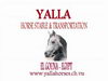 Yalla Horse Stable