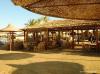 Hotel Panorama Bungalows Resort  El Gouna 3646